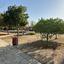 2 bedroom apartment for sale faneromeni larnaca 7580097 thumbnail 13136028