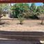 3 bedroom detached house for sale coral bay paphos 8786097 thumbnail 16662772