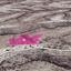land for sale kato drys larnaca 1213097 thumbnail 2604221