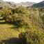 land for sale pera pedi limassol 955097 thumbnail 862471