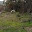 land for sale pera pedi limassol 955097 thumbnail 862473