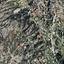 land for sale tsada paphos 8209097 thumbnail 15595925