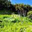 land for sale dierona limassol 7495197 thumbnail 9319933