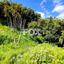 land for sale dierona limassol 7495197 thumbnail 9319935