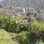 land for sale dierona limassol 7495197 thumbnail 9319936
