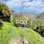 land for sale dierona limassol 7495197 thumbnail 9319941