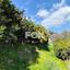 land for sale dierona limassol 7495197 thumbnail 9319944
