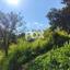 land for sale dierona limassol 7495197 thumbnail 9319950