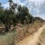 plot for sale ergates nicosia 1804197 thumbnail 16984872