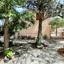 3 bedroom detached house for sale vavla larnaca 1473297 thumbnail 5658973