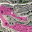 land for sale dierona limassol 1651297 thumbnail 5703326