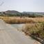 land for sale pissouri limassol 946297 thumbnail 16701357