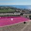 plot for sale agios theodoros larnacas larnaca 1832297 thumbnail 12597983