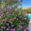 3 bedroom detached house for rent secret valley paphos 8758397 thumbnail 16517613