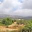 land for sale koili paphos 7756397 thumbnail 15994744