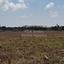 plot for sale deryneia famagusta 1937397 thumbnail 7657680