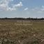 plot for sale deryneia famagusta 1937397 thumbnail 7657687