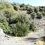 112526 SQM Land for sale in Foinikaria, Limassol thumbnail 16242394