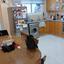 2 bedroom apartment for sale sotiros agios ioannis larnaca larnaca 8798497 thumbnail 16716363