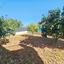 4 bedroom detached house for sale drousia paphos 7554497 thumbnail 9546933