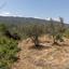 land for sale evrychou nicosia 1158497 thumbnail 15602871