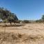 land for sale lympia nicosia 826497 thumbnail 17625183