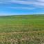 land for sale peristerona lefkosias nicosia 8244497 thumbnail 13861327