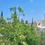 3 bedroom detached house for sale protaras famagusta 1072597 thumbnail 1245845