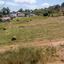 land for sale polemi paphos 9009597 thumbnail 18400339