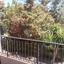 4 bedroom detached house for sale kalogiroi limassol 7464697 thumbnail 9274795