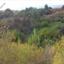 land for sale argaka paphos 1096697 thumbnail 16009588