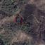 land for sale agios theodoros tillirias nicosia 829797 thumbnail 6572239
