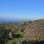 land for sale lysos paphos 7739797 thumbnail 10217552