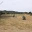 land for sale mosfiloti larnaca 1150797 thumbnail 5122626