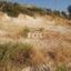 plot for sale trimiklini limassol 1146797 thumbnail 5529808
