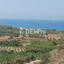 3 bedroom detached house for sale coral bay paphos 7812897 thumbnail 12700410
