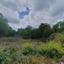 land for sale drimou paphos 8664897 thumbnail 17009138