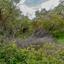 land for sale drimou paphos 8664897 thumbnail 17009139