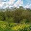 land for sale drimou paphos 8664897 thumbnail 17009144