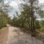 land for sale mitsero nicosia 945897 thumbnail 6814758
