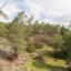 land for sale mitsero nicosia 945897 thumbnail 7640935