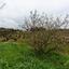 land for sale pachna limassol 8433897 thumbnail 15594713