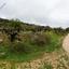 land for sale pachna limassol 8433897 thumbnail 15594714