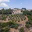 land for sale psathi paphos 980897 thumbnail 16009327