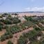 land for sale psathi paphos 980897 thumbnail 16009328