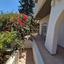 3 bedroom detached house for rent strovolos nicosia 8735997 thumbnail 16345970