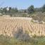 land for sale pachna limassol 1341997 thumbnail 15600414