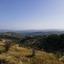 land for sale psathi paphos 8531997 thumbnail 16277575