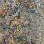 plot for sale latsia nicosia 1538997 thumbnail 12684672