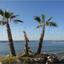 studio hotel for sale oroklini larnaca 7872997 thumbnail 11388473